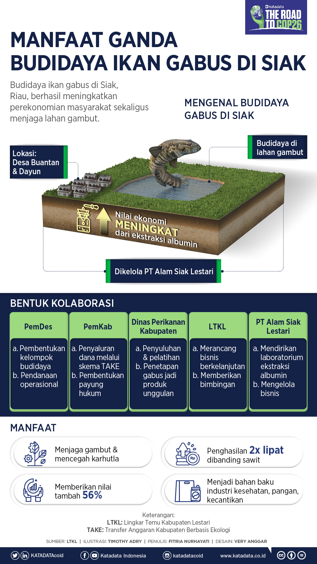 Infografik_Manfaat Ganda Budidaya Ikan Gabus di Siak