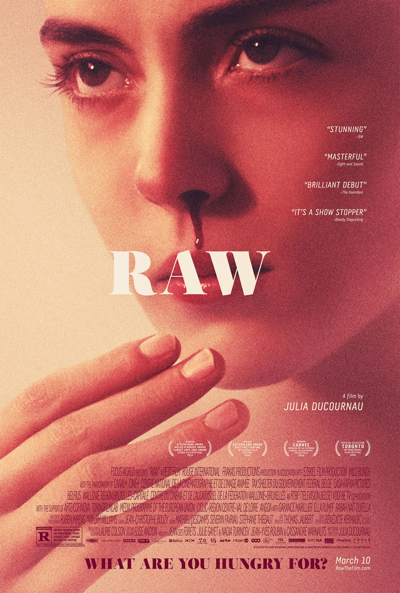 Poster film Raw