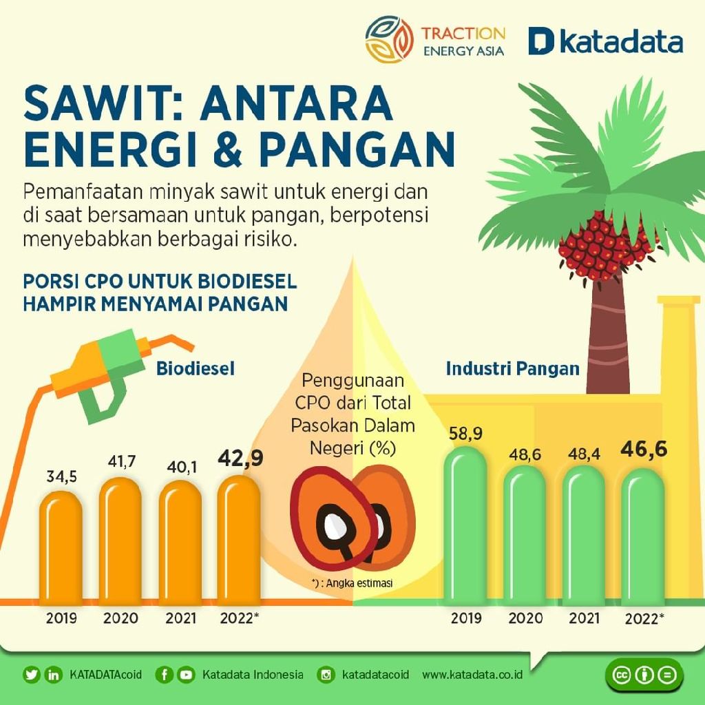Minyak sawit yang dimanfaatkan untuk pangan dan bahan baku biodiesel berpotensi mengalami kelangkaan di masa depan jika tidak dilakukan diversifikasi 