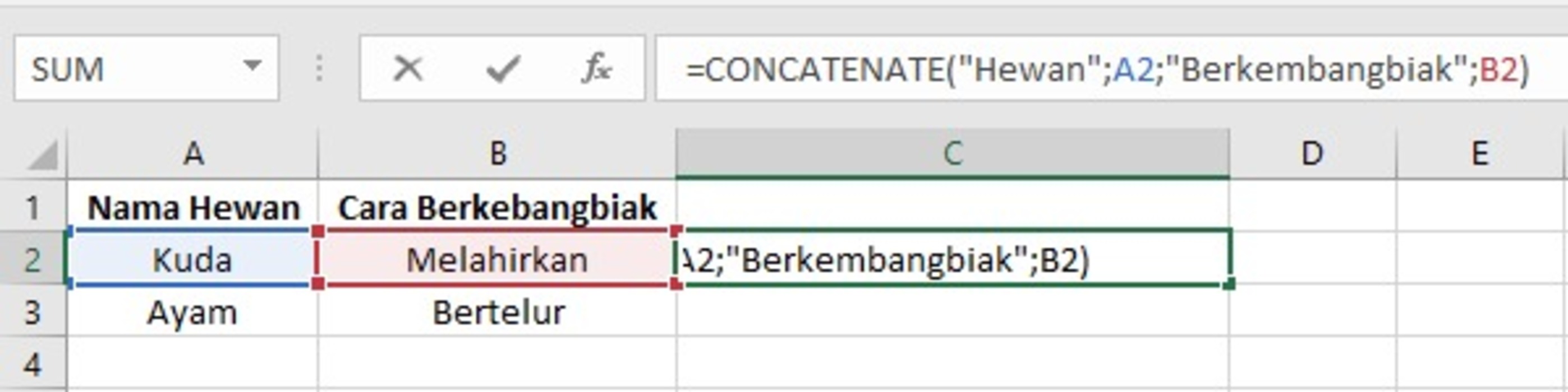 Cara Menggunakan Rumus Concatenate Di Excel Dengan Mudah Lifestyle Id 0135