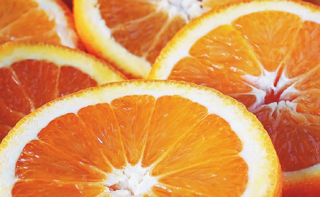 CARA MERAWAT TANAMAN JERUK