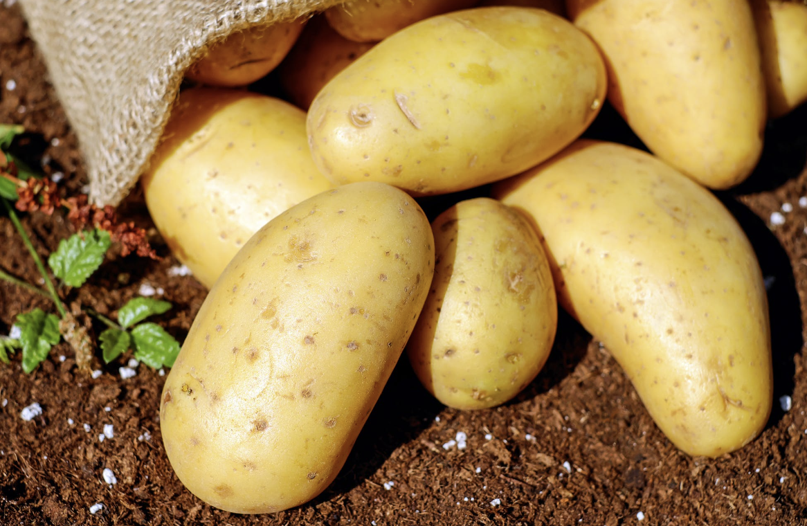 Makanan Penurun Darah Tinggi 