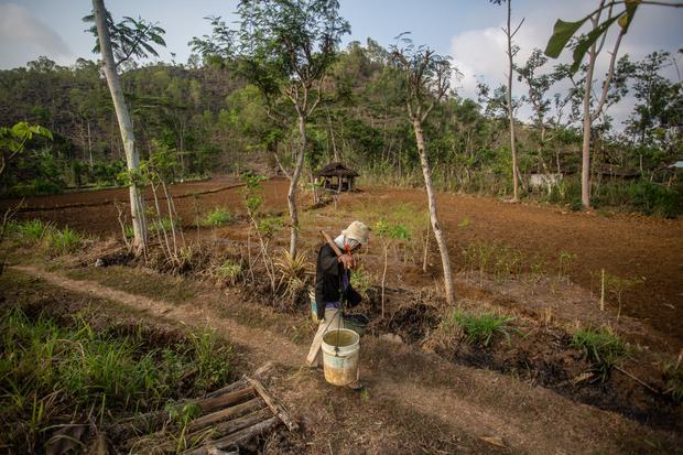 Puncak fenomena El Nino