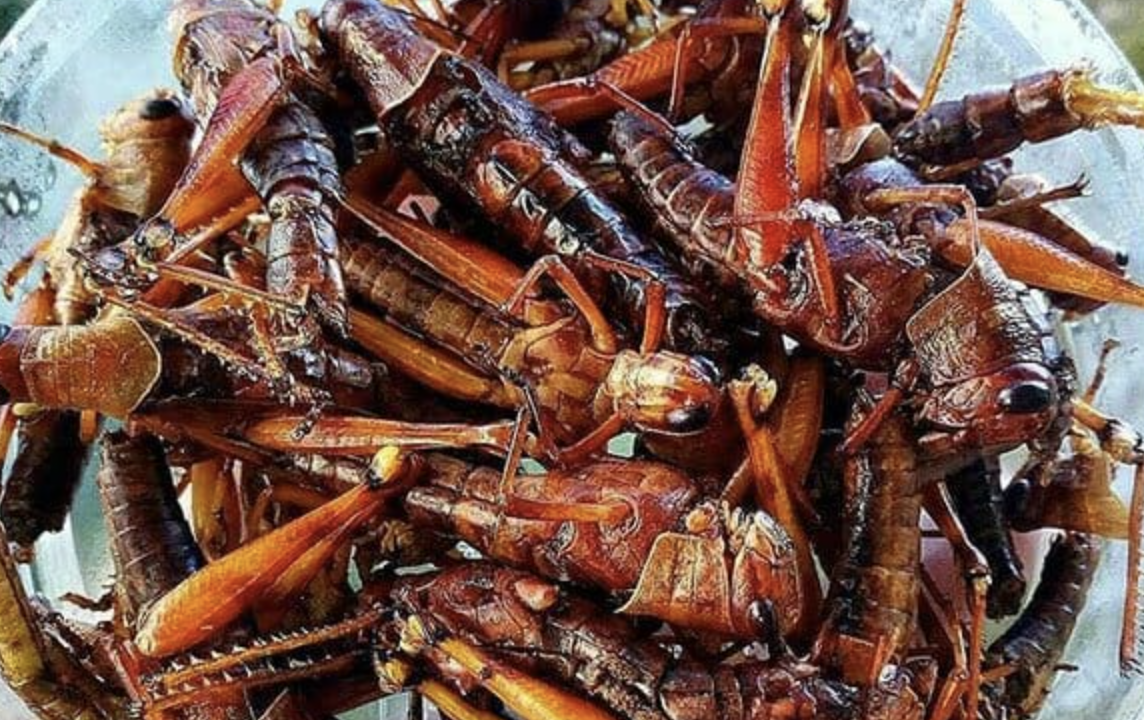 Makanan Khas Jogja Walang Goreng