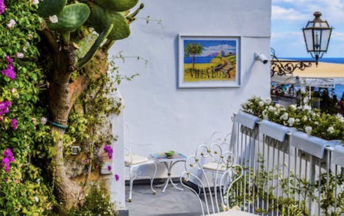 Panduan Berkebun di Balkon