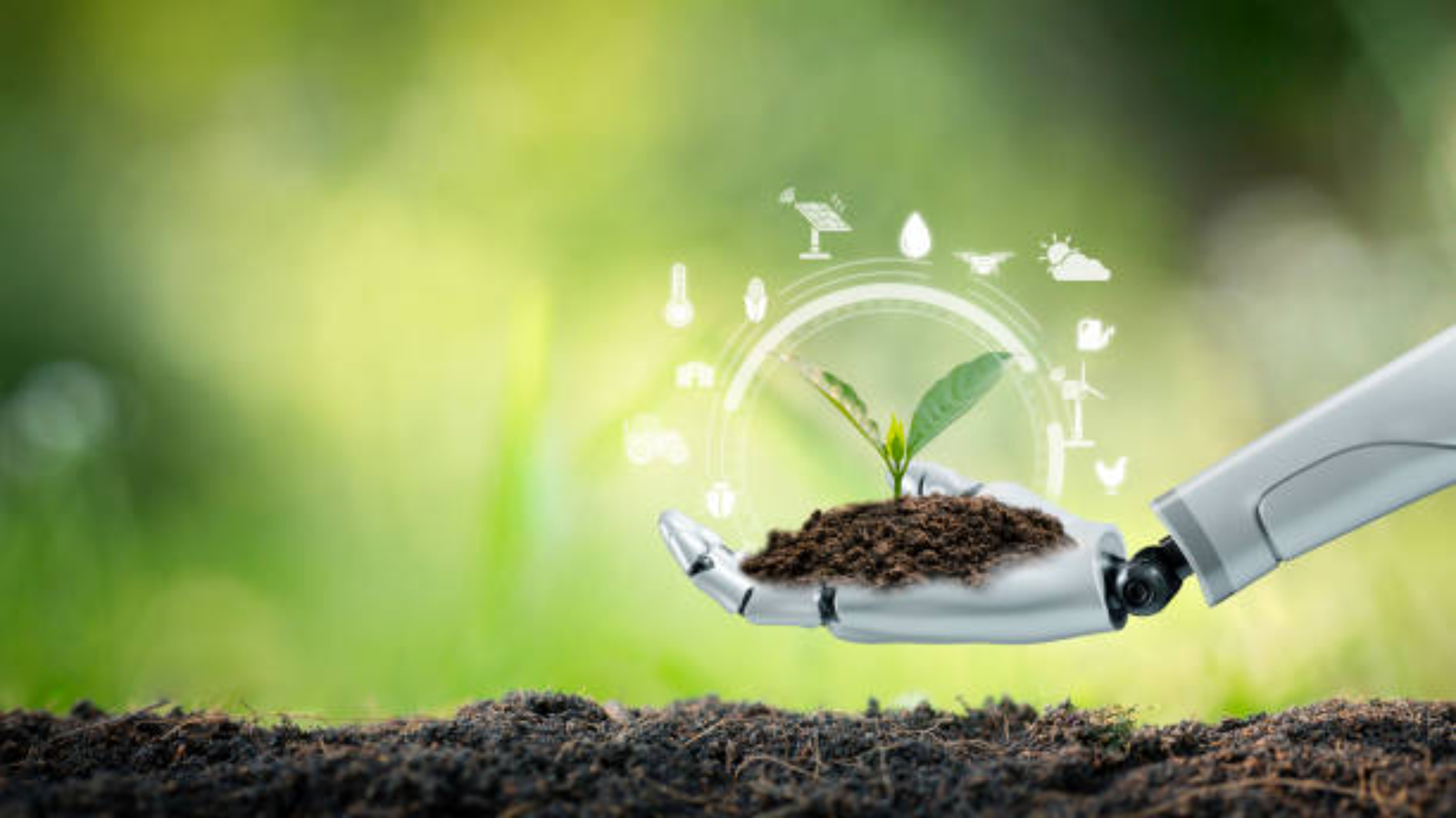 Komponen biotik berdasarkan perannya