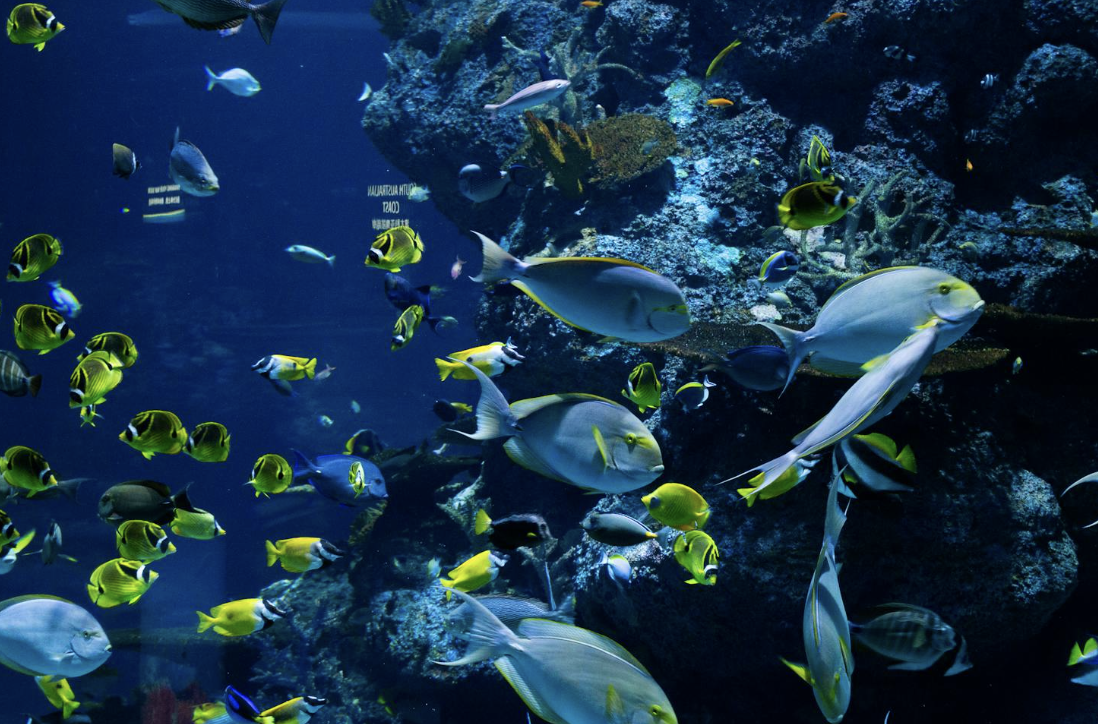 Komponen Lingkungan Hidup dalam Ekosistem