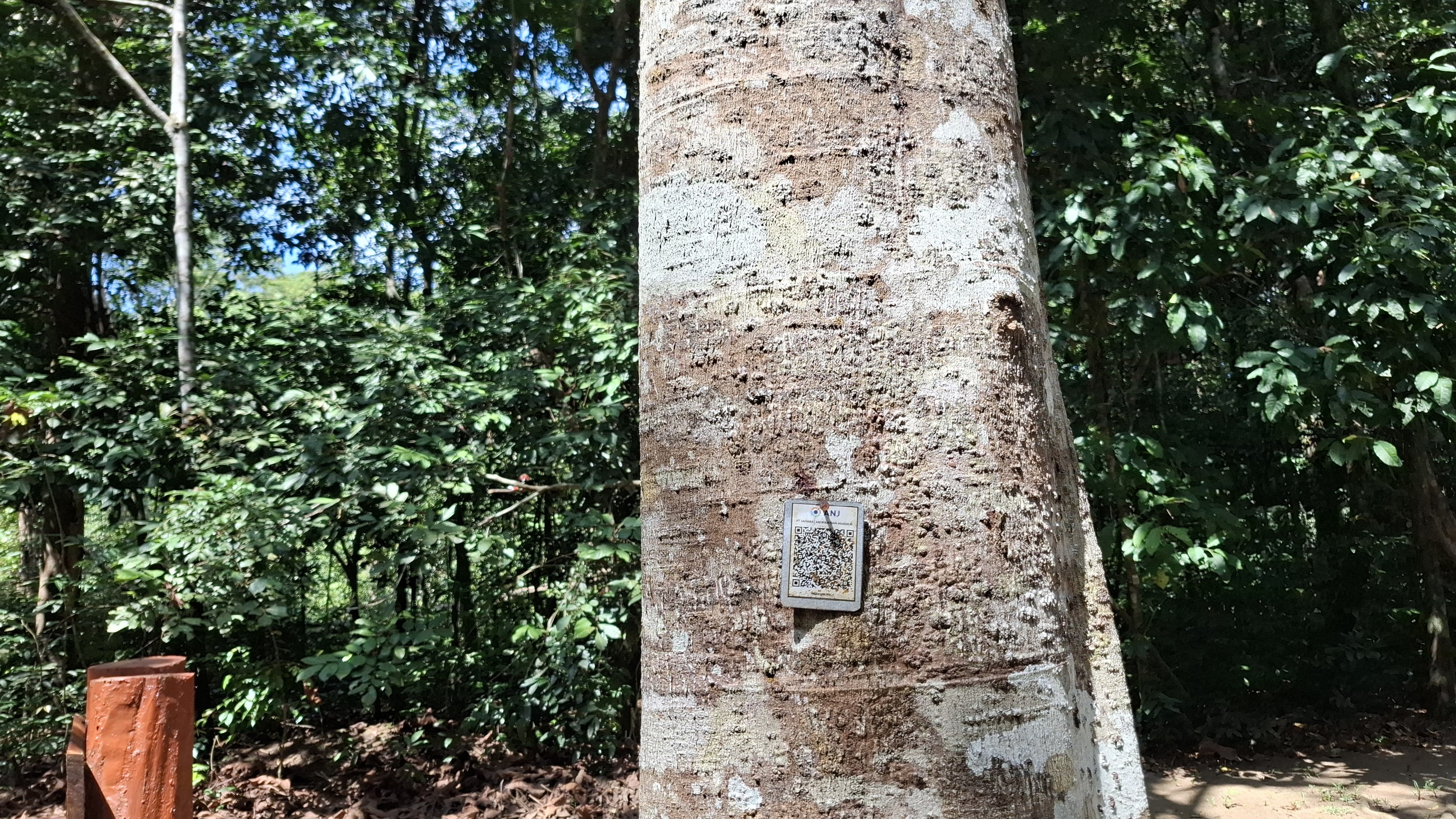 Pohon yang ditempel barcode di kawasan konservasi ANJ.
