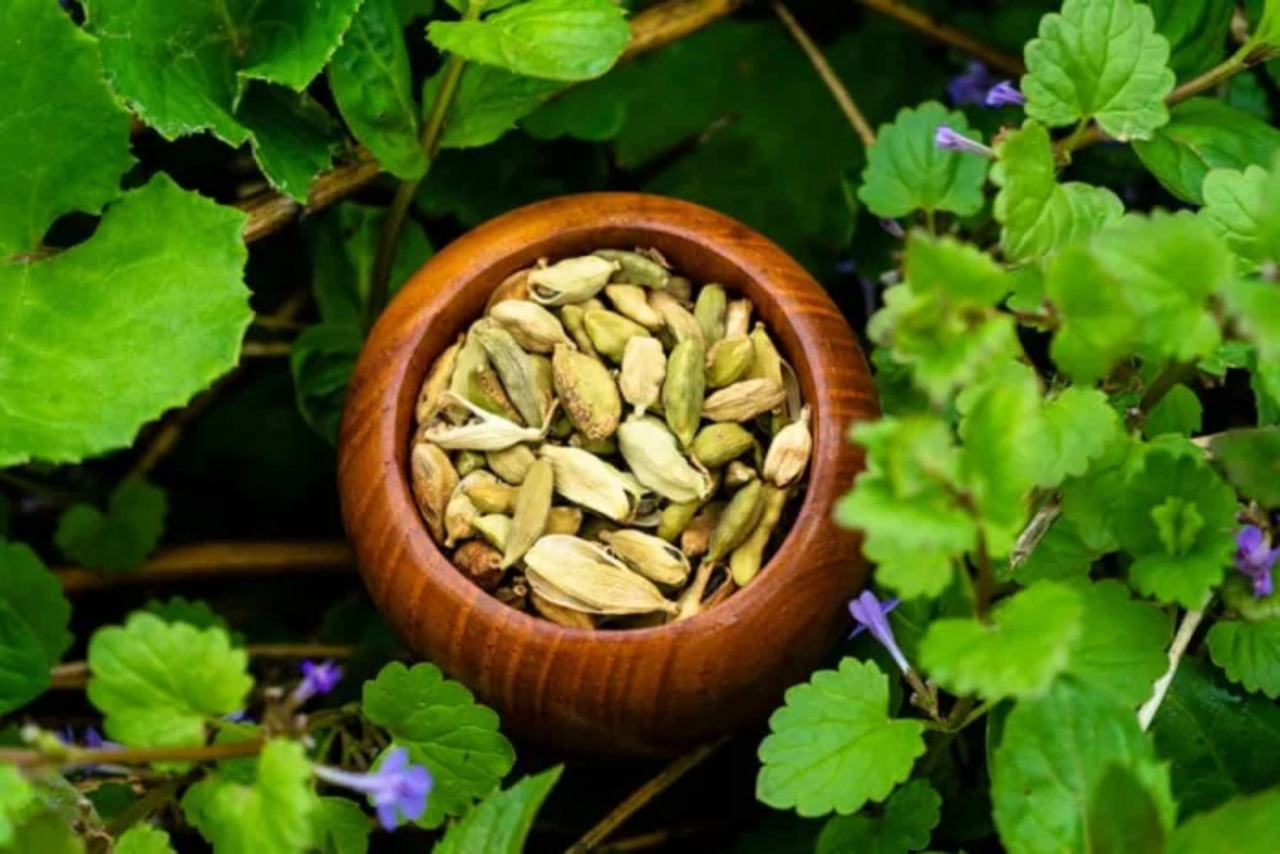 Rekomendasi Obat Herbal Penurun Darah Tinggi Alami