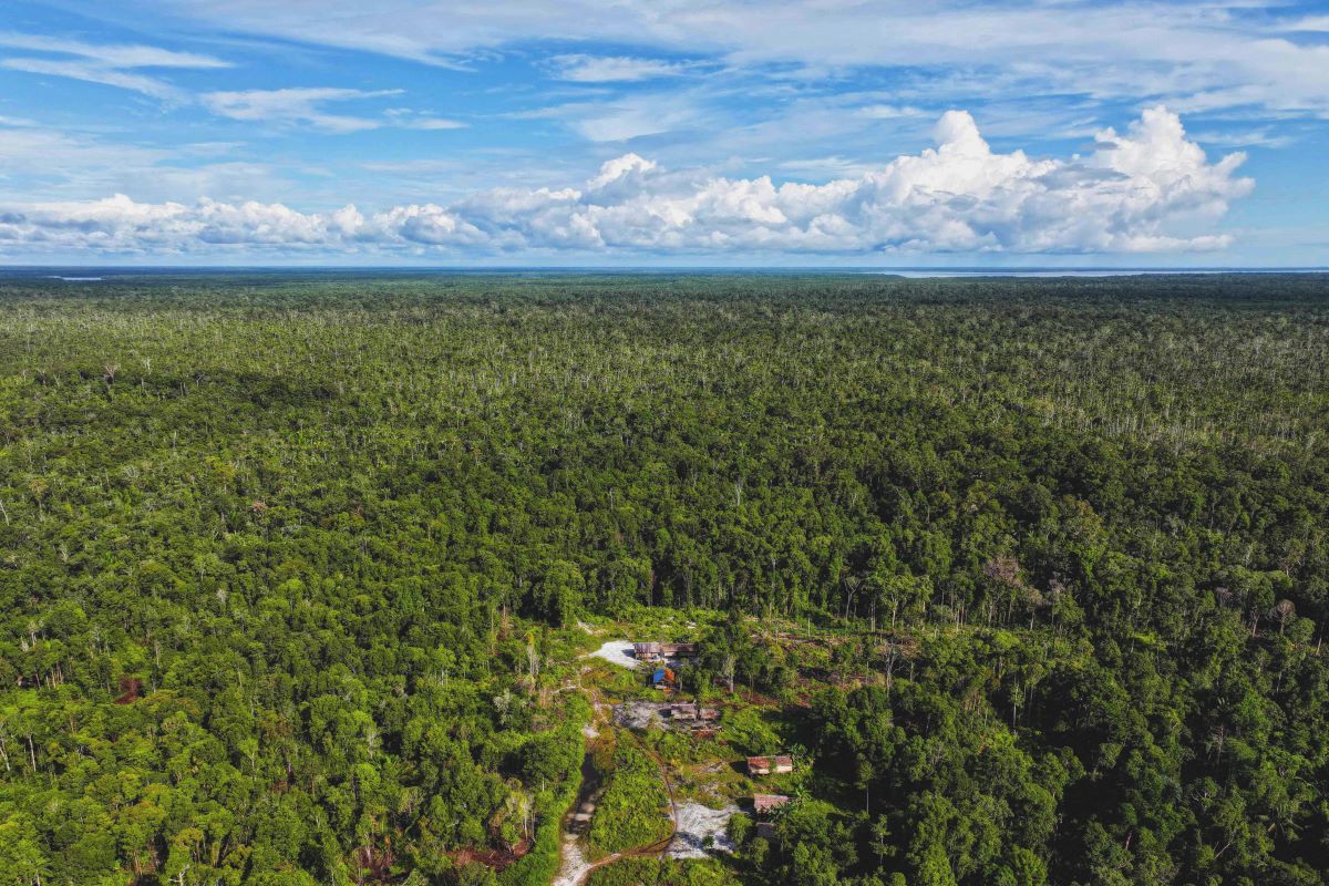 Hutan Sorong Selatan