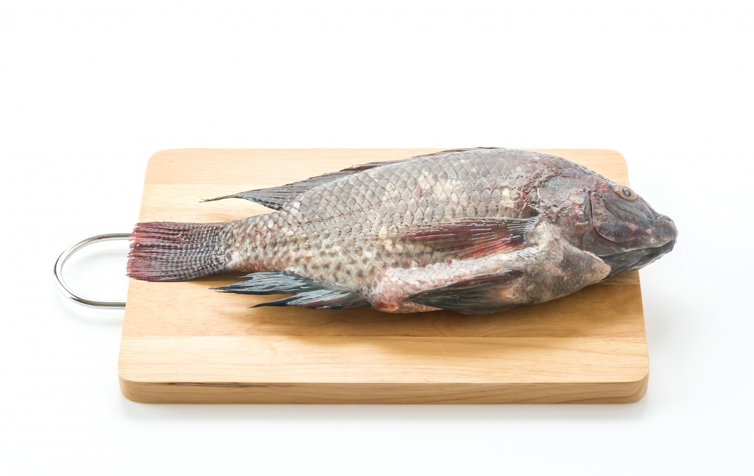 Jenis Ikan yang Bagus untuk Ibu Hamil