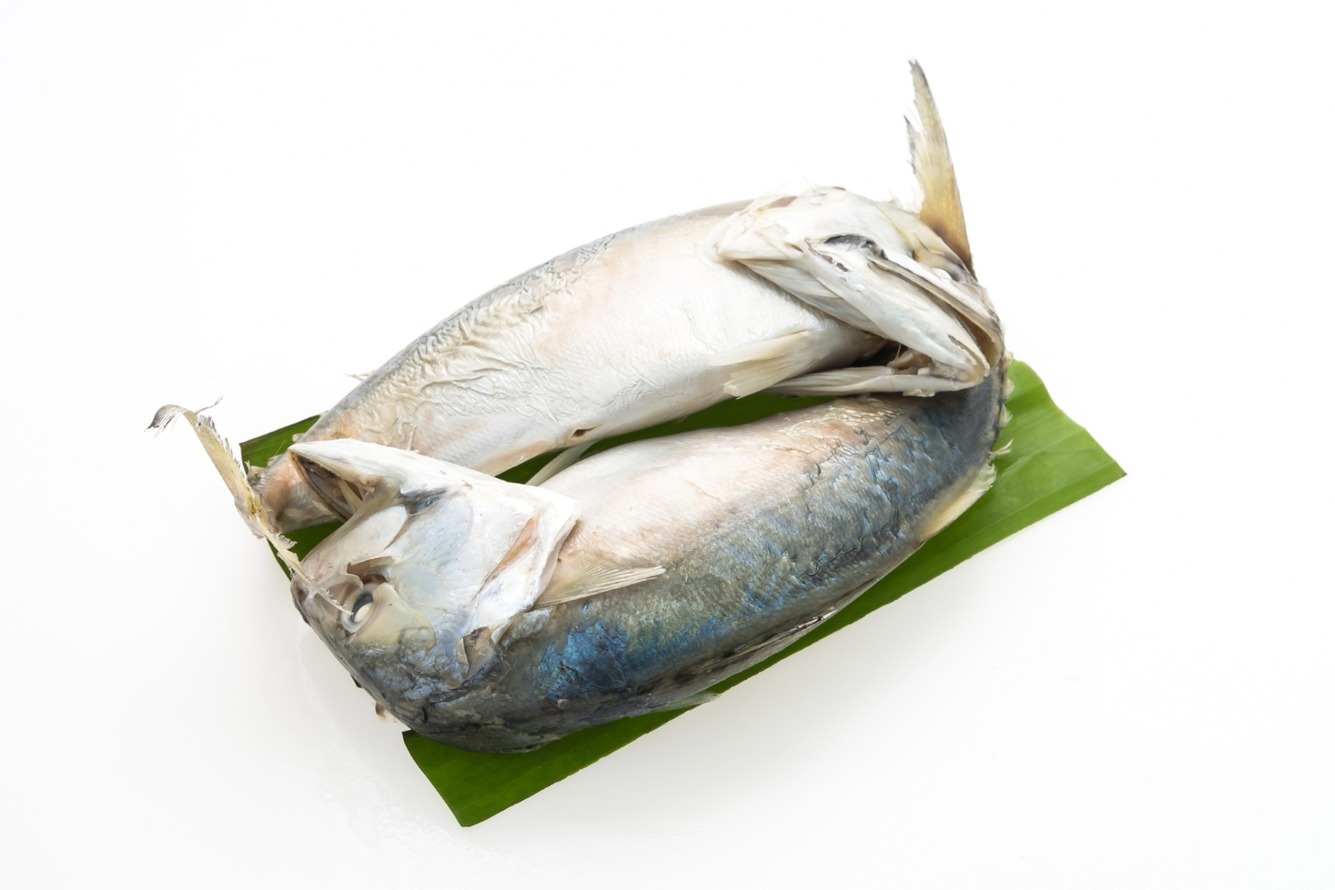 Jenis Ikan yang Bagus untuk Ibu Hamil