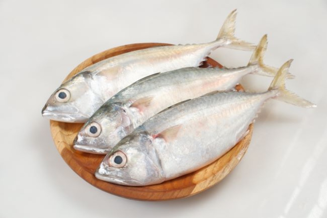 Jenis Ikan yang Bagus untuk Ibu Hamil