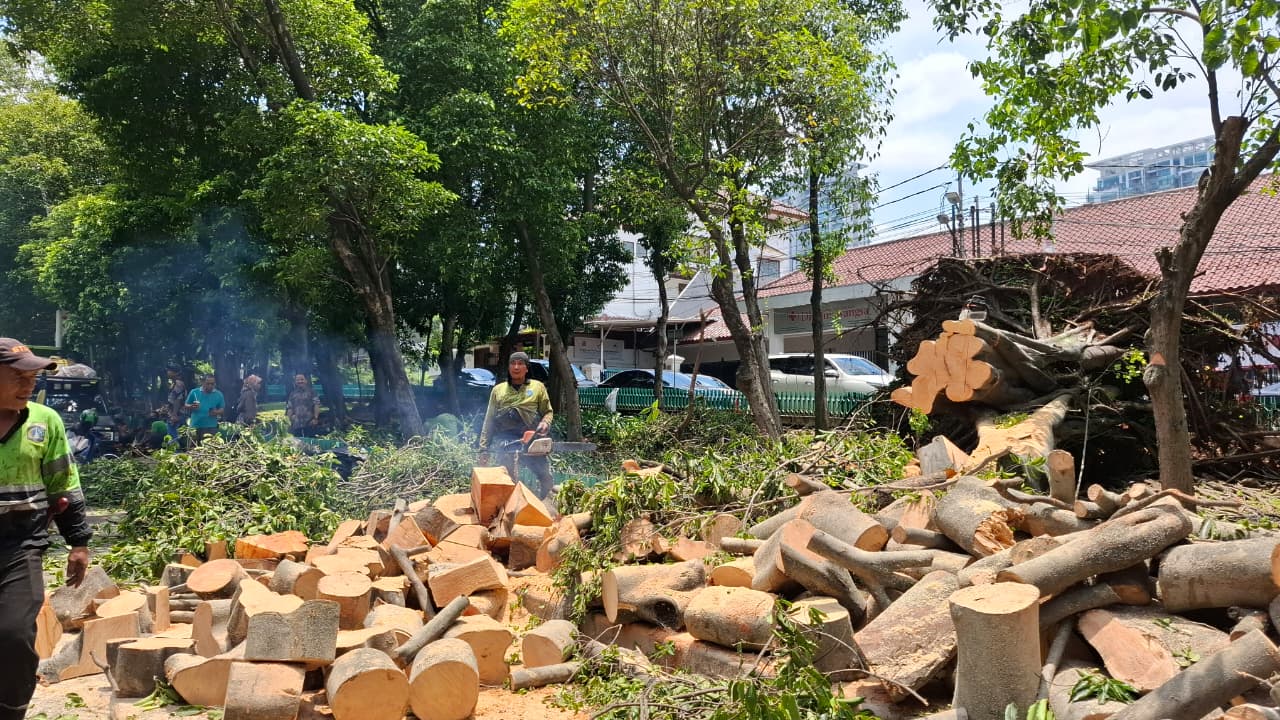Petugas membersihkan sisa pohon tumbang di Jalan Dharmawangsa, Jakarta, Jumat (31/10).