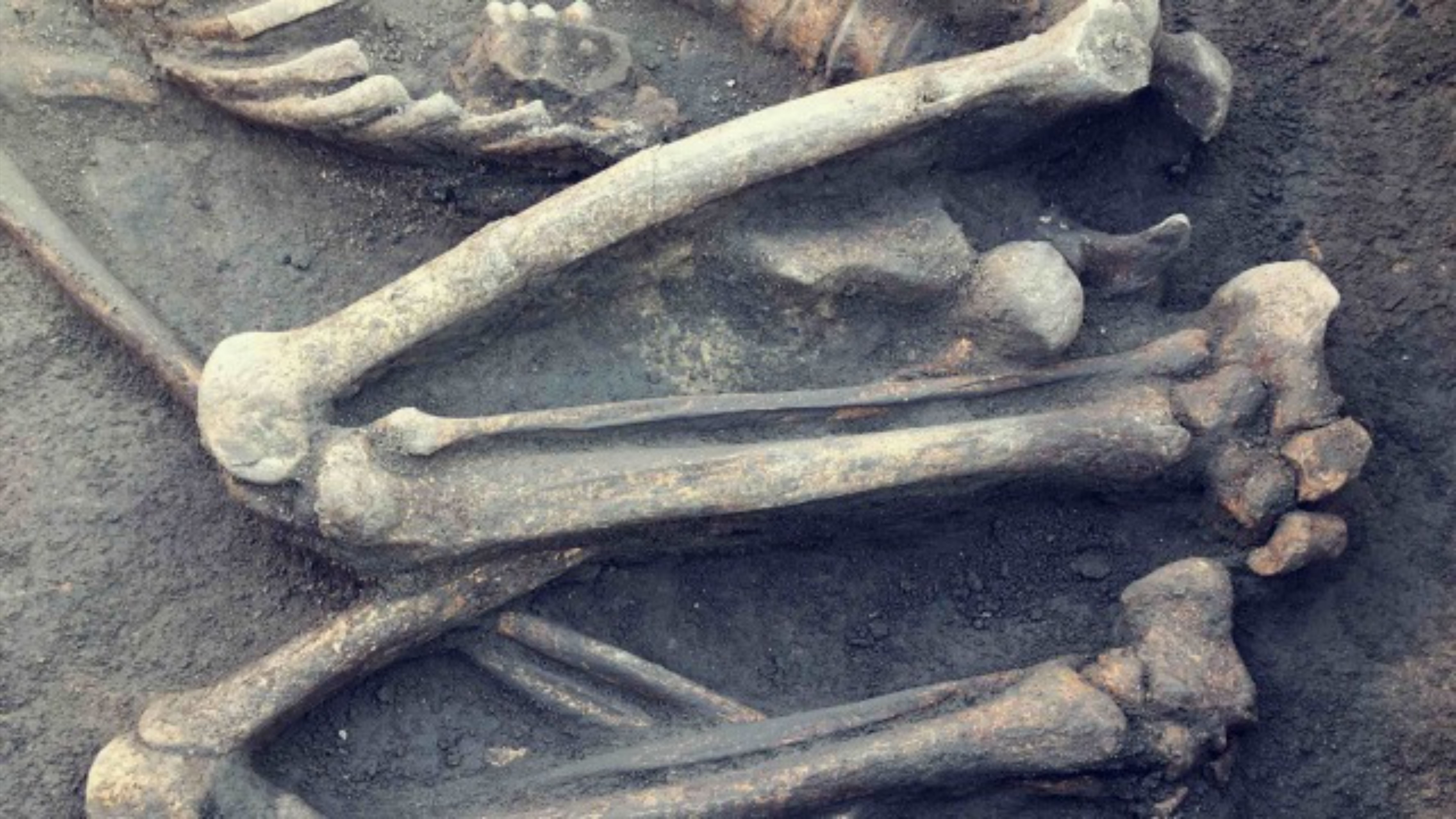 Ilustrasi Kerangka Manusia