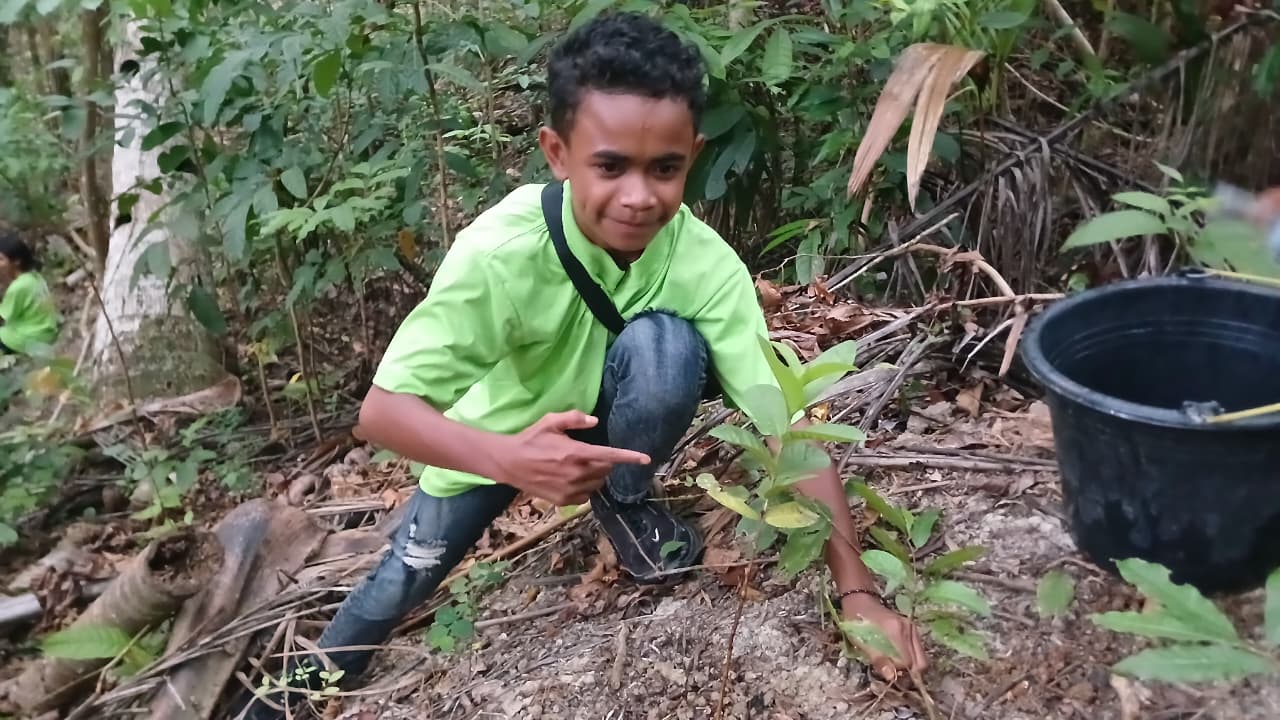 Menanam pohon di dekat mata air