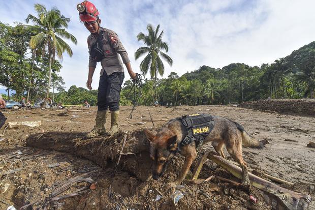 Pencarian korban banjir bandang gunakan anjing pelacak