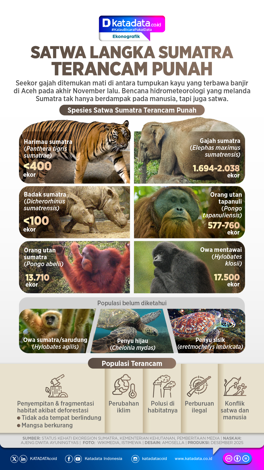 INFOGRAFIK: Satwa Terancam Punah di Sumatra