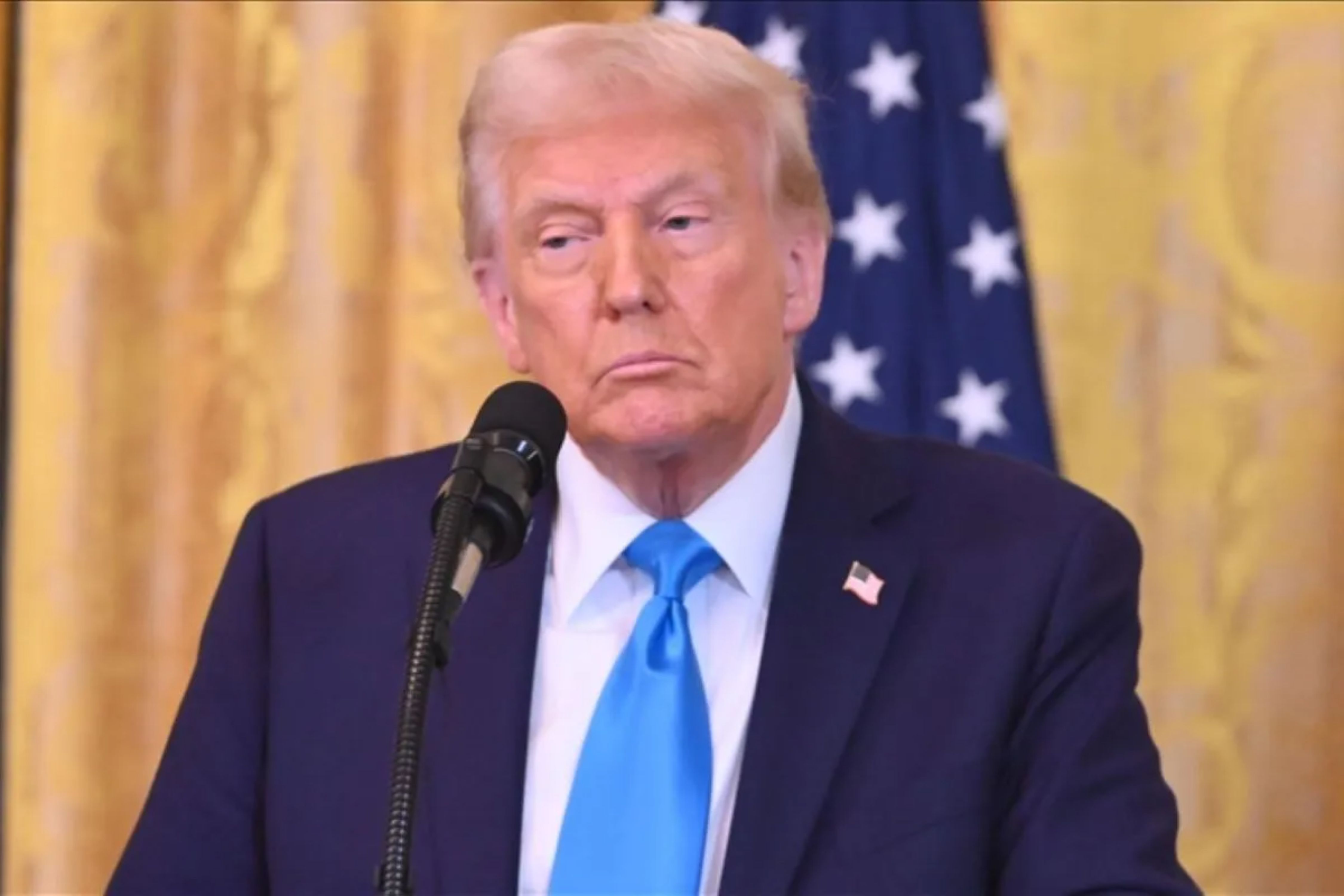 Apa itu Dewan Perdamaian Gaza?