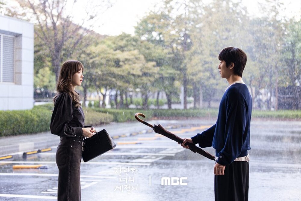 Drama Korea In Your Radiant Season