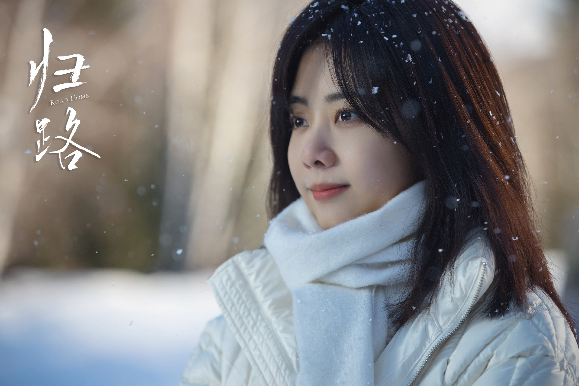 Drama China Road Home