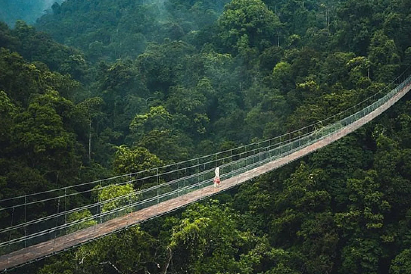 Rekomendasi Wisata Murah di Sukabumi: situ gintung