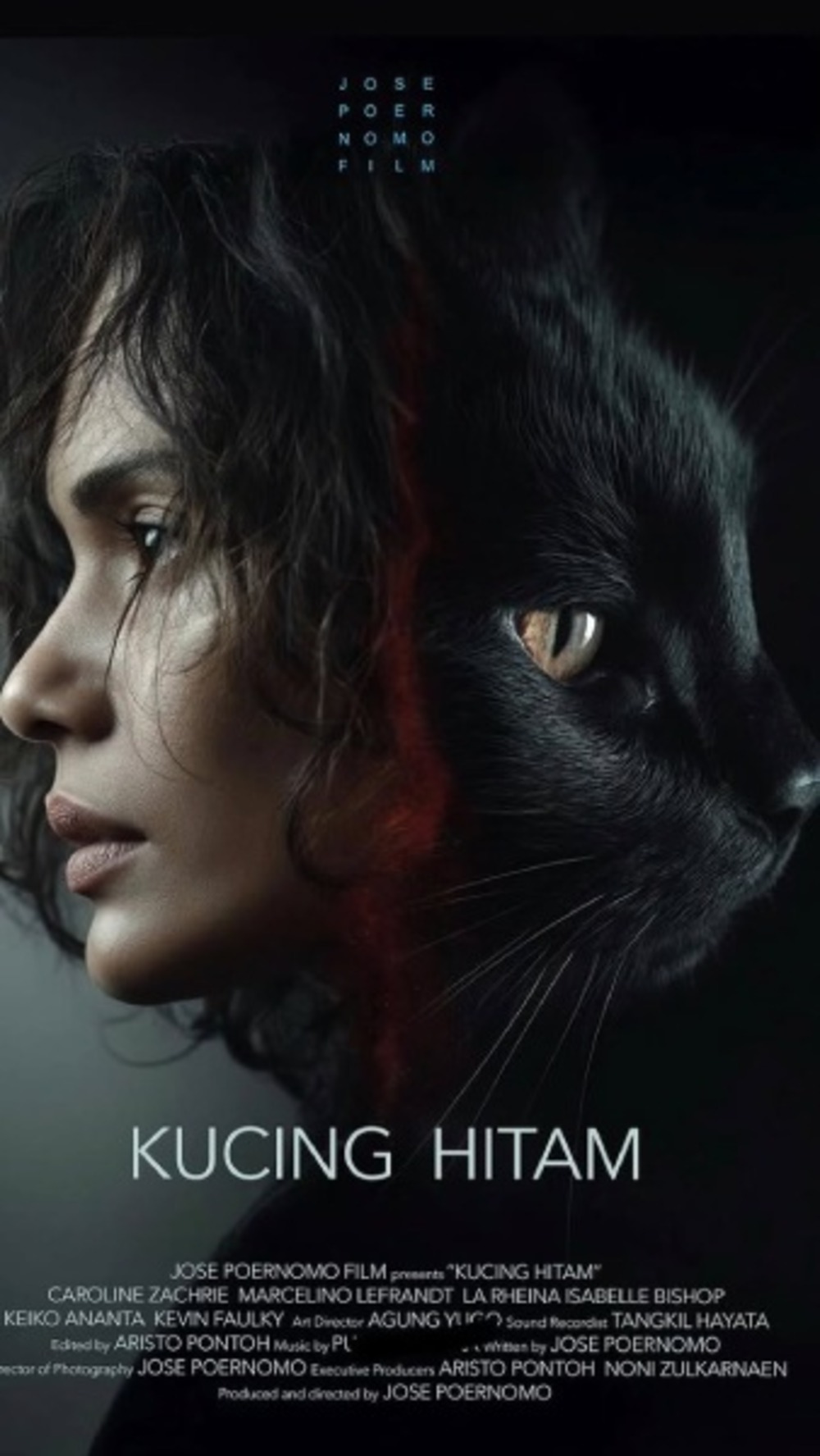 Sinopsis Film Kucing Hitam