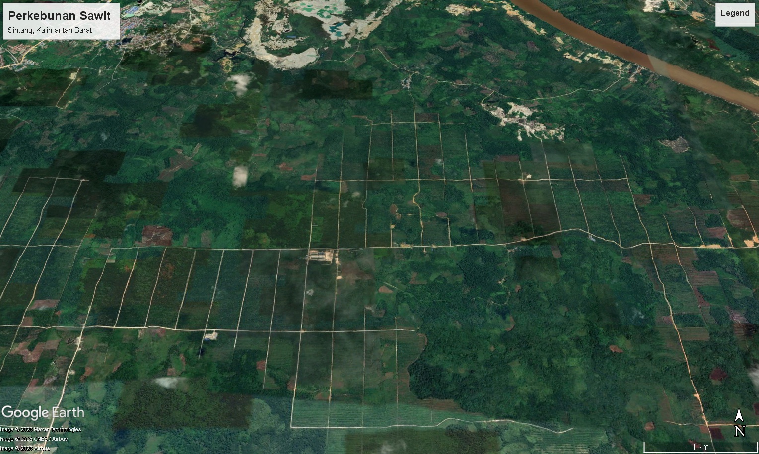Perkebunan Sawit, Sintang, Kalimantan Barat