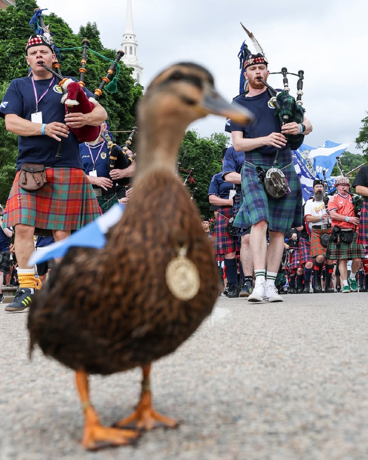 Suporter Skotlandia berbaris sambil meniupkan bagpipe di Boston, Amerika Serikat.