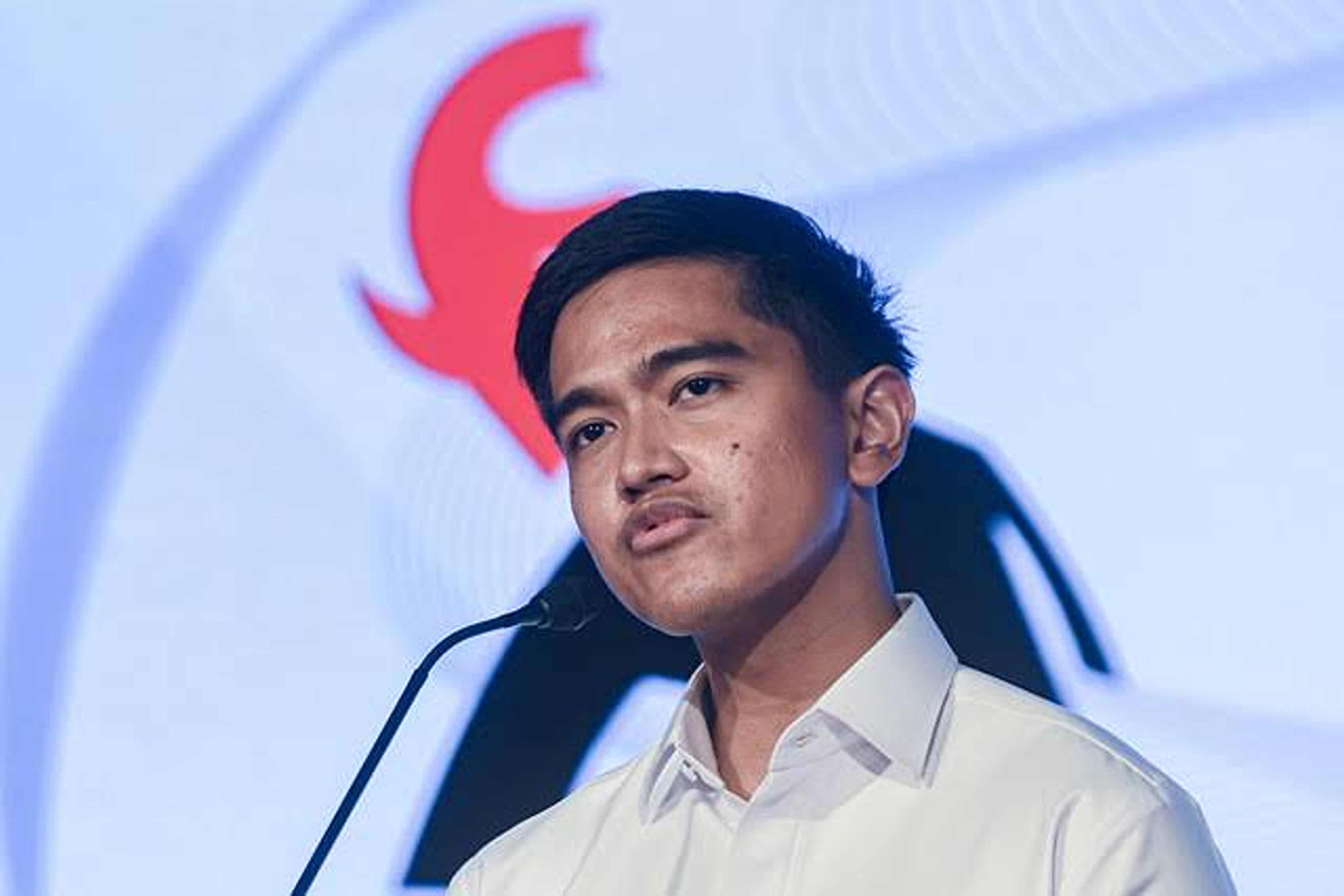 Kaesang Pangarep Umumkan Maju Pileg 2029