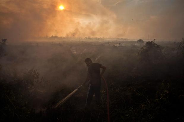 Jokowi kalah gugatan kebakaran hutan, Jokowi melawan hukum