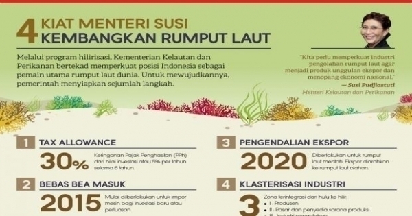 kiat analisis peluang usaha 4 Kiat Menteri Susi Kembangkan Rumput Laut Infografik 