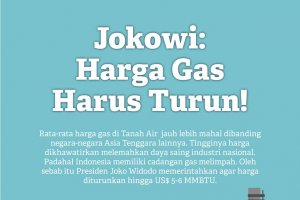 Jokowi: Harga Gas Harus Turun!