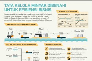 Tata Kelola Minyak Dibenahi untuk Efisiensi