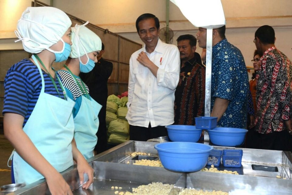Jokowi Kacang Mete