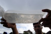 Gagalkan Penyelundupan Bibit Lobster