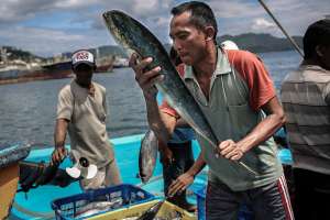 Penangkapan Ikan di Bitung