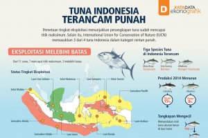 Tuna Indonesia Terancam Punah (Rev)