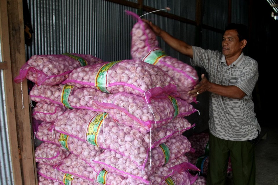Pengamat mengusulkan sistem kuota impor bawang putih diganti dengan sistem tarif untuk mencegah terjadinya korupsi dan suap.