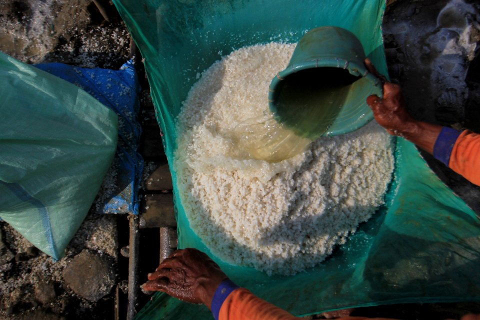 Produksi Garam Kupang, Luhut impor garam tidak ada lagi di 2021