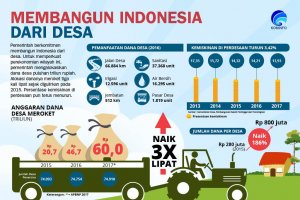 Membangun Indonesia Dari Desa