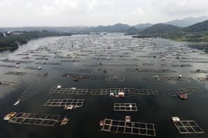 Waduk Jatiluhur