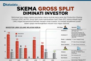 Skema Gross Split Diminati Investor