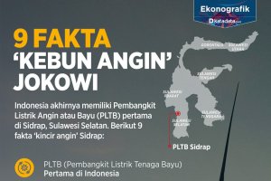 9 fakta kebun angin jokowi