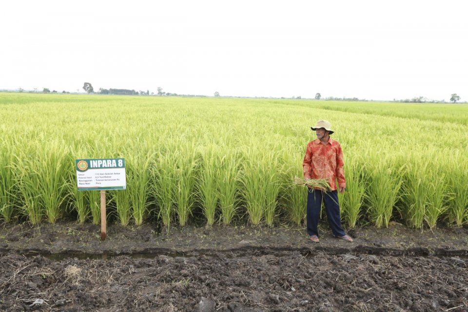Petani dan Penjual Pupuk Keluhkan Minimnya Subsidi ke Jokowi