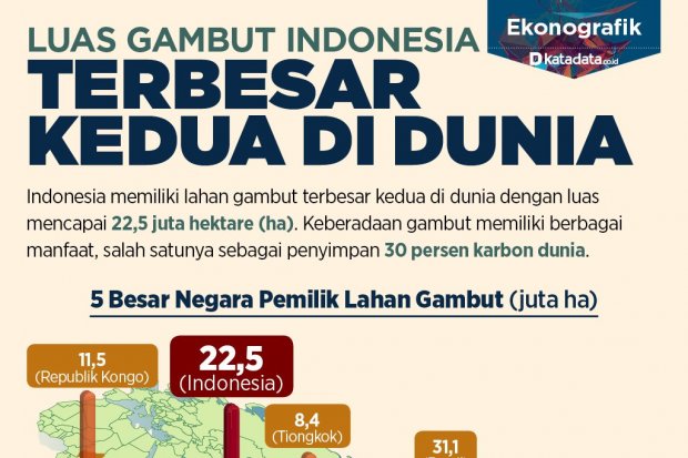 Luas Gambut Indonesia