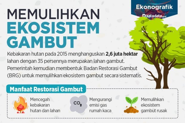 Memulihkan Ekosistem Gambut - Infografik Katadata.co.id