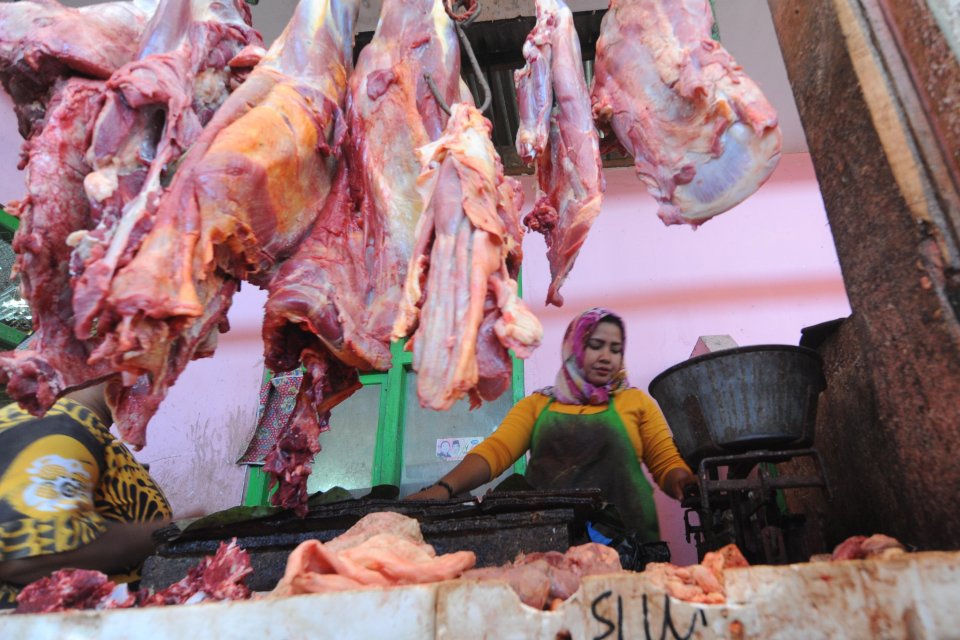 Stok Daging Lebaran, Persediaan Daging Sapi Nasional