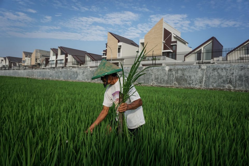 Petani beraktifitas di lahan pertanian miliknya di kawasan Kartasura, Sukoharjo, Jawa Tengah, Rabu (24/7/2019). Menurut data Badan Pusat Statistik (BPS) luas lahan baku sawah Indonesia dalam lima tahun terakhir (2013-2018) mengalami penyusutan 9% dari 7,7