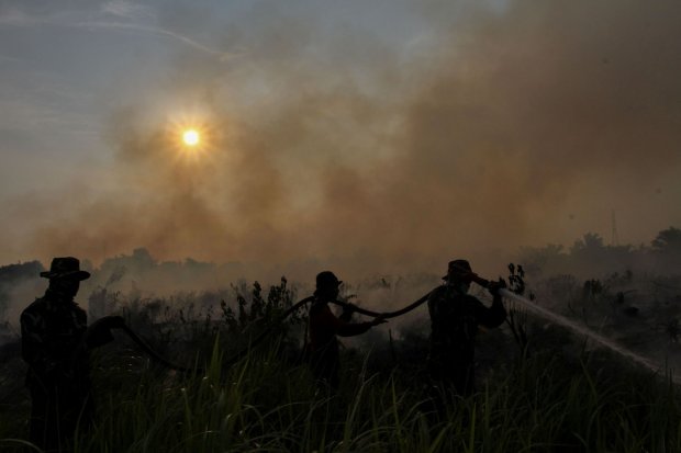 Jokowi, Kebakaran Hutan, TNI-Polri